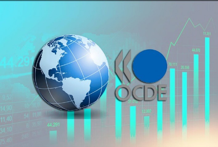 OCDE Revisa Projeção de Crescimento do PIB Global para 3,2% em 2024