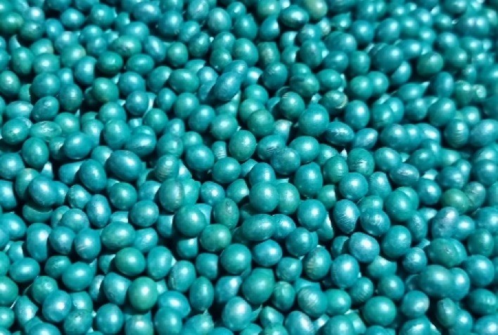 Sementes de Soja: A Escolha Estratégica que Impulsiona o Agronegócio na Safra 2024/2025