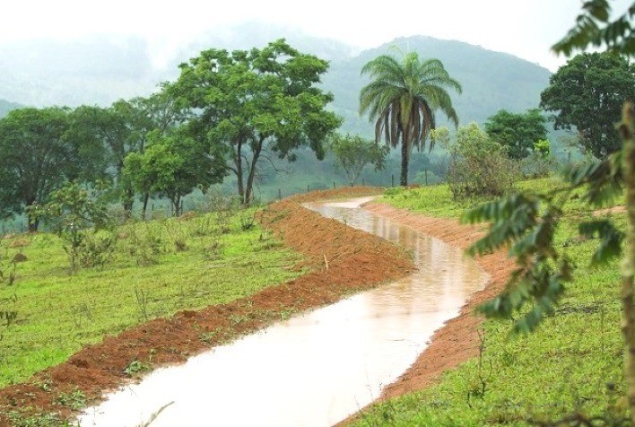 Estratégias do Governo de Minas para Combater os Efeitos da Estiagem no Campo