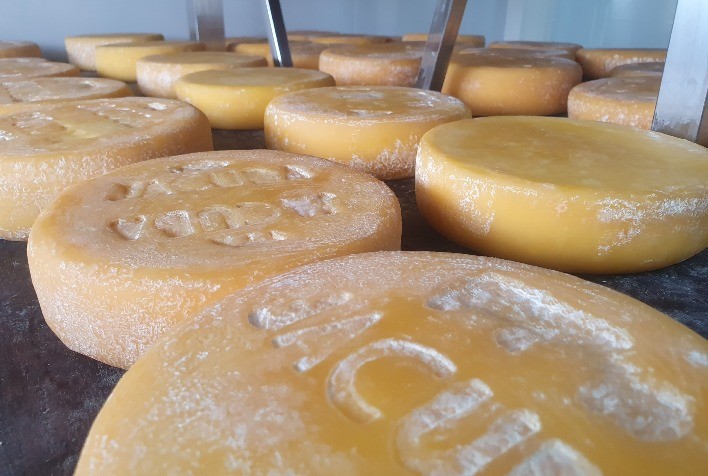 Nova Legislação Impulsiona Regularização e Fortalecimento das Queijarias em Minas Gerais