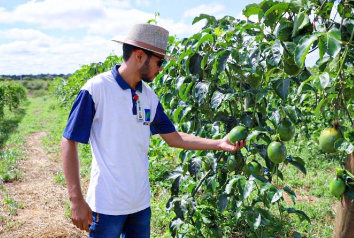 Emater Goiás Amplia Prazo para Inscrições em Processo Seletivo