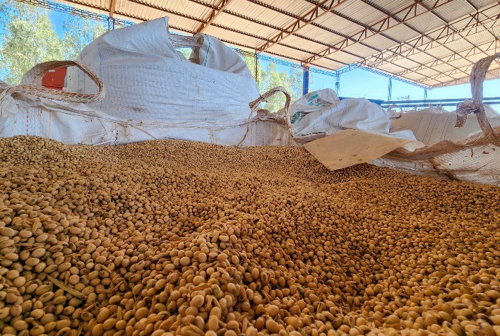 Exportações do Agronegócio Mineiro Registram Resultados Históricos