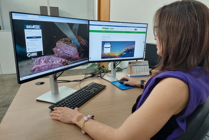 Cadastro de Propriedades Rurais em Goiás: Processo Totalmente On-line a Partir de Outubro