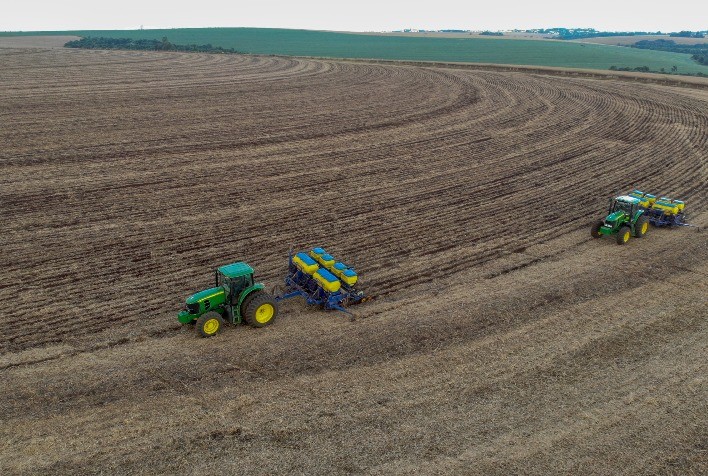 Projeções para a Safra 2024/25 de Soja no Piauí Indicam Crescimento de 2% a 4%, Segundo a Aprosoja