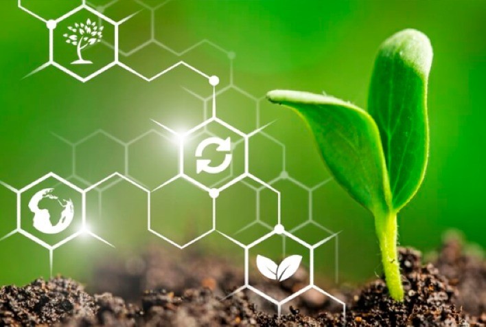 Regulamentação de Bioinsumos no Brasil: ANPII Bio Enfatiza Inovação e Desenvolvimento Industrial