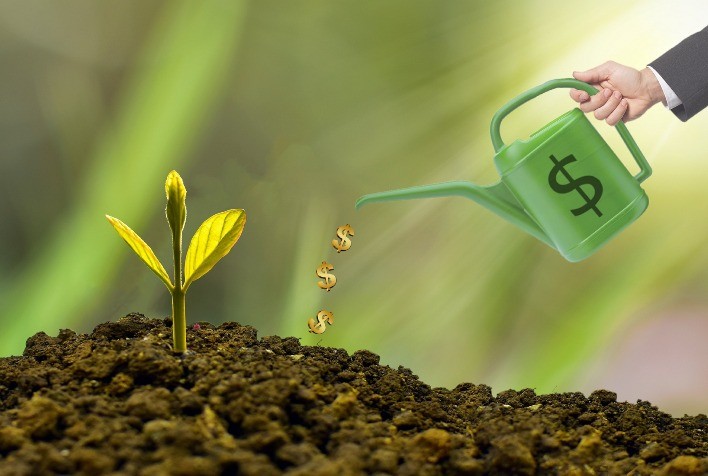 Oportunidades no Agronegócio: Como Investir com Segurança