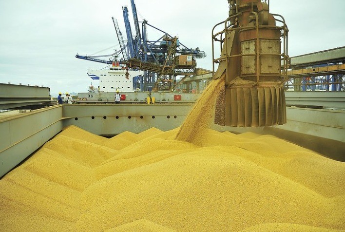Projeções indicam exportação de 4,44 milhões de toneladas de milho pelo Brasil em outubro