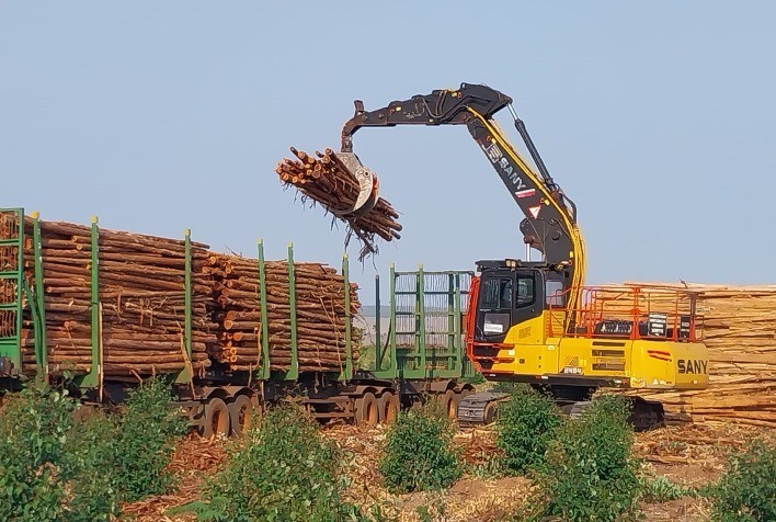 Carregamento de Madeira Impulsiona Eficiência do Setor Florestal Brasileiro