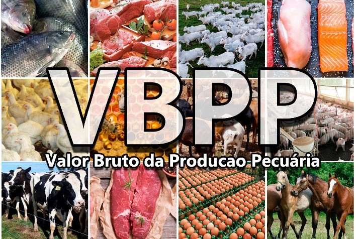 Atingindo novo recorde, VBP da produção animal pode superar os R$390 bilhões em 2024
