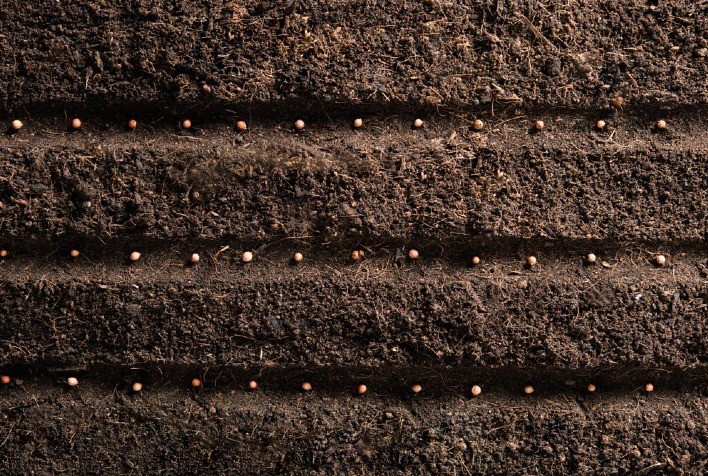 Semeadura de Soja no Brasil Avança e Alcança 2,4% Apesar de Desafios Climáticos