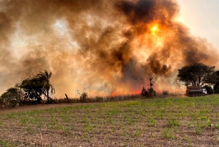 Controvérsia em torno do Decreto Federal que penaliza produtores rurais por incêndios