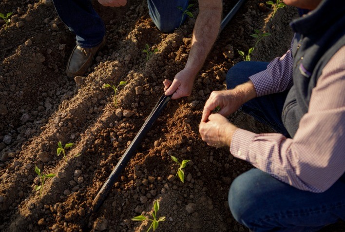 Rivulis Lança Tecnologia de IA para Apoiar Agricultores em Práticas de Irrigação Avançada