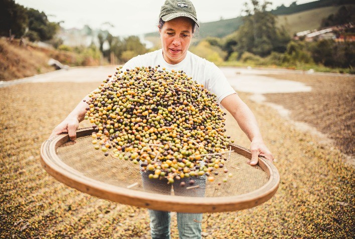 Cooperativas da Agricultura Familiar em Minas Gerais Recebem Capacitação para Superar Desafios