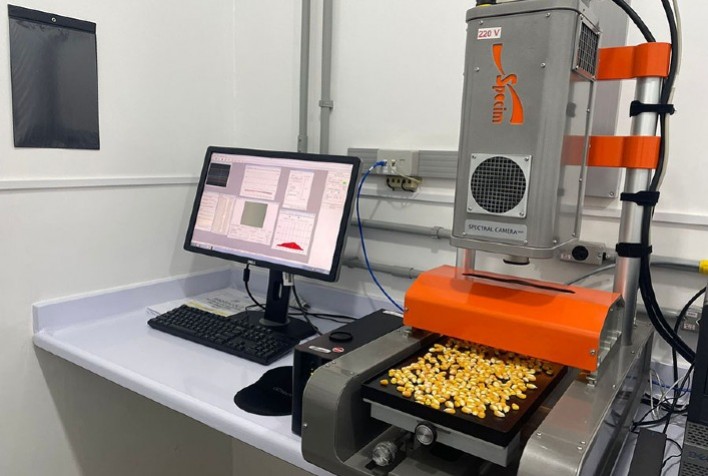 Novo método inovador detecta micotoxina em grãos de milho com tecnologia hiperespectral