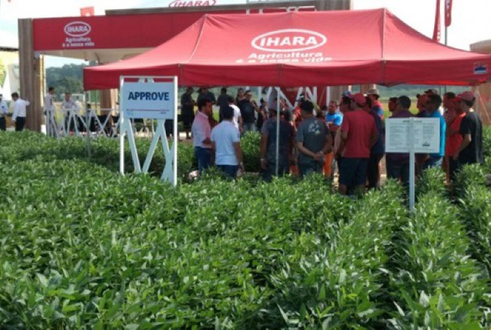 IHARA Promove Treinamentos sobre o Uso Seguro de Defensivos Agrícolas no Brasil