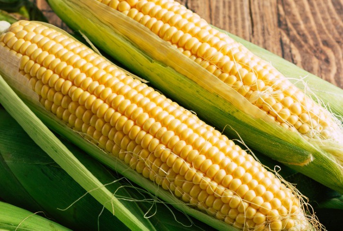Preços do milho recuam na B3 e acompanham quedas em Chicago e no dólar