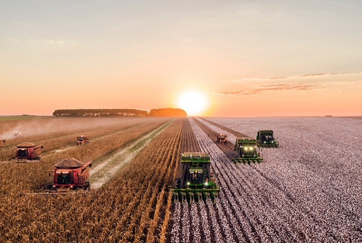 Mato Grosso: Imea Reitera Projeções de Safra de Soja e Aumento na Área de Algodão