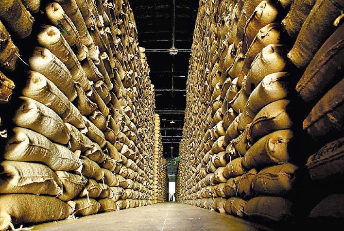 Exportações globais de café verde crescem 8,8% em agosto, segundo OIC