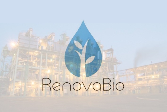 Monitoramento do RenovaBio: Impactos das Queimadas e Projeções de Geração de CBios