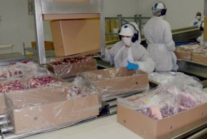 Crescimento nas Exportações de Carne Bovina Impulsiona Preços no Brasil