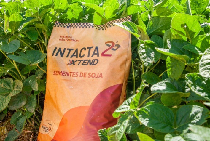 Biotecnologia da Soja Supera Desafios Climáticos e Garante Produtividades Elevadas