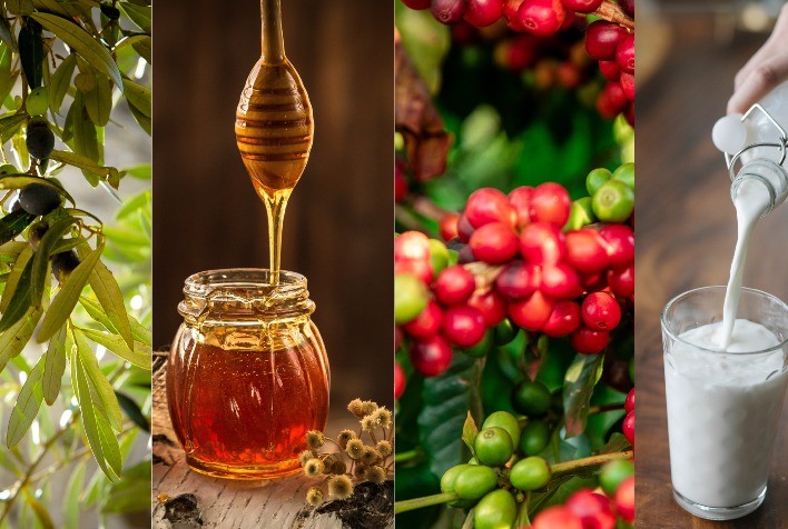 Sistema Faemg Senar Oferece 390 Vagas Gratuitas de Assistência Técnica a Produtores Rurais