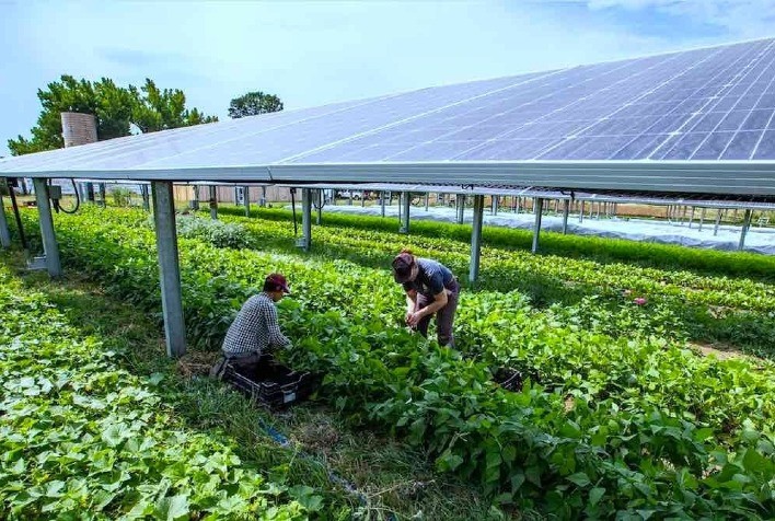 Agronegócio Brasileiro: Uma Oportunidade para a Energia Solar