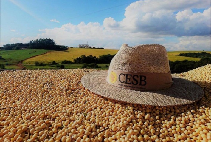 Desafios e Estratégias para Maximizar a Produtividade da Soja no Brasil