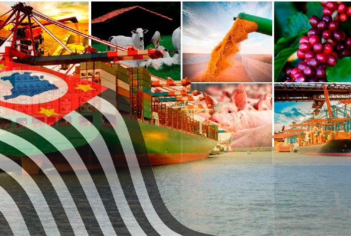 São Paulo Assume Liderança nas Exportações do Agronegócio Brasileiro