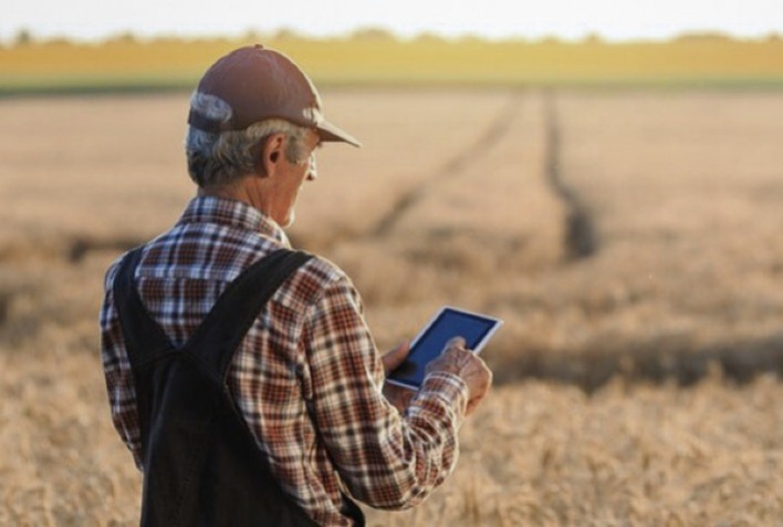 Ciclo 2024 do ITR registra entrega de quase seis milhões de declarações