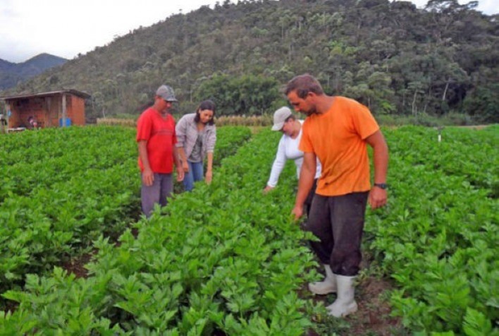 Proposta de Lei Facilita Acesso a Crédito e Seguro para Agricultores Familiares