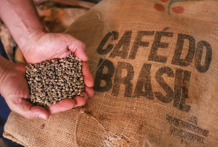 Café no Paraná: Menor Produção, Maior Rendimento