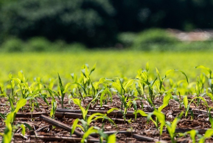 Produtores de Mato Grosso criticam novo decreto ambiental e demandam ações proativas do governo