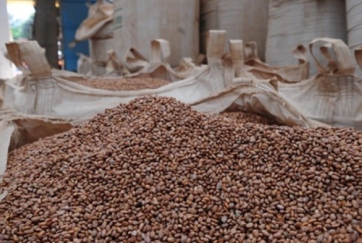 Exportações de Feijão Garantem Sustentabilidade aos Produtores Brasileiros