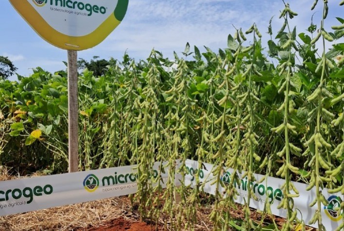 Desafios Climáticos no Cerrado: A Importância da Regeneração do Solo para a Sustentabilidade Agrícola