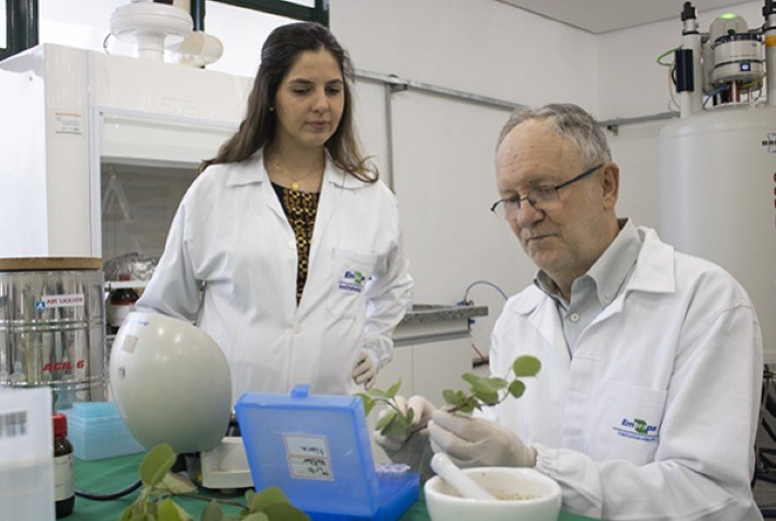 Ressonância Magnética Nuclear: Protocolo Inova Estudo do Metabolismo Vegetal