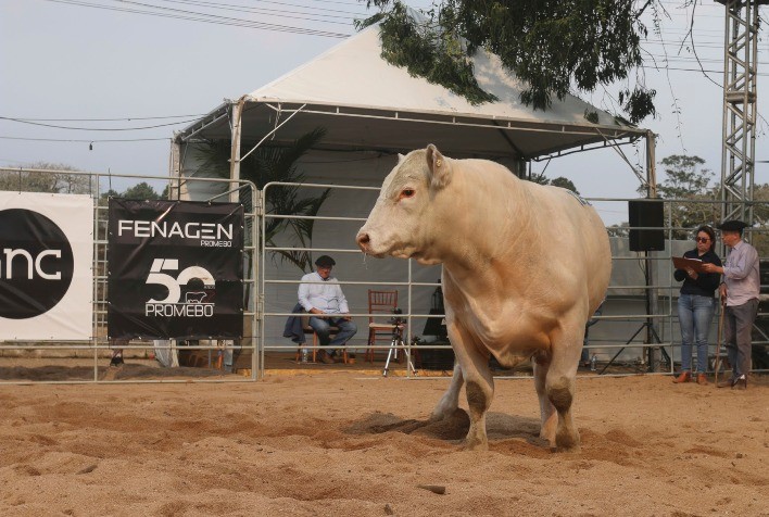 Fenagen Promebo: Datas Confirmadas para a Segunda Edição do Evento