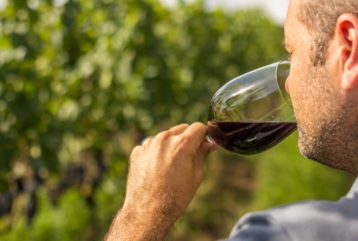 Sebrae Nacional e Consevitis-RS Unem Forças para Reforçar a Vitivinicultura no Brasil