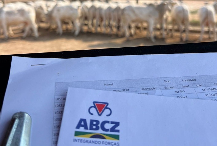 Pesagem Inicial dos Animais no Programa PMGZ Carne