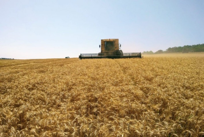 Rússia estabelece preço mínimo para exportação de trigo em licitações internacionais