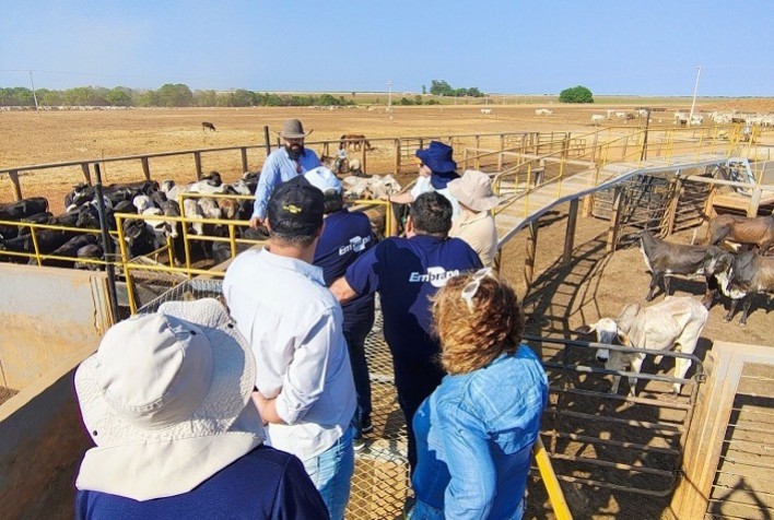 Embrapa Expande Presença Estratégica no Matopiba com Novo Hub