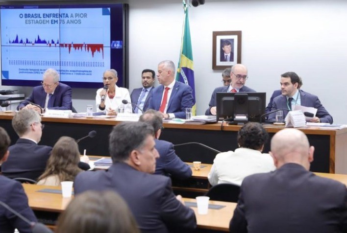 Parlamentares cobram ações efetivas da ministra do Meio Ambiente diante de crise de queimadas