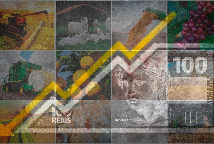 PIB do Agronegócio: Continuidade da Queda no Segundo Trimestre e Recuo Anual de 3,5%