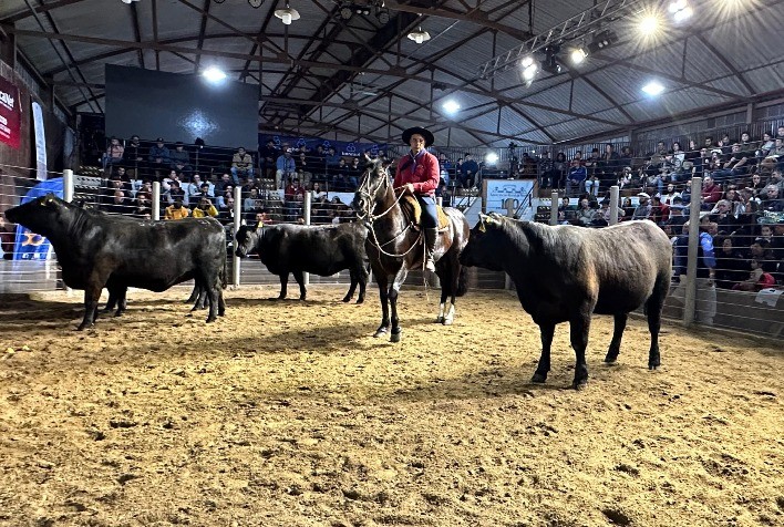 Genética Avançada em Destaque na 98ª Expofeira de Pelotas