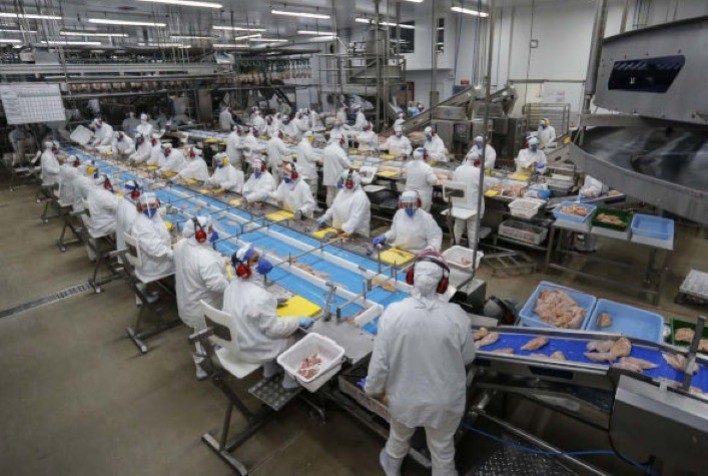 Paraná Destaca-se como o Segundo Estado em Emprego na Indústria Alimentícia, Com 237 Mil Trabalhadores