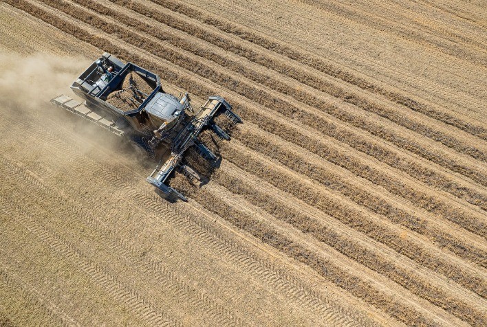 Colombo Peanut Tour 2024: Indústrias Colombo promove intercâmbio sobre a cadeia produtiva do amendoim nos EUA