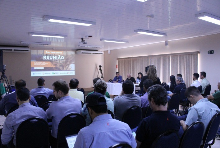 Safra de Trigo em São Paulo Enfrenta Desafios Climáticos e Registra Queda em 2024