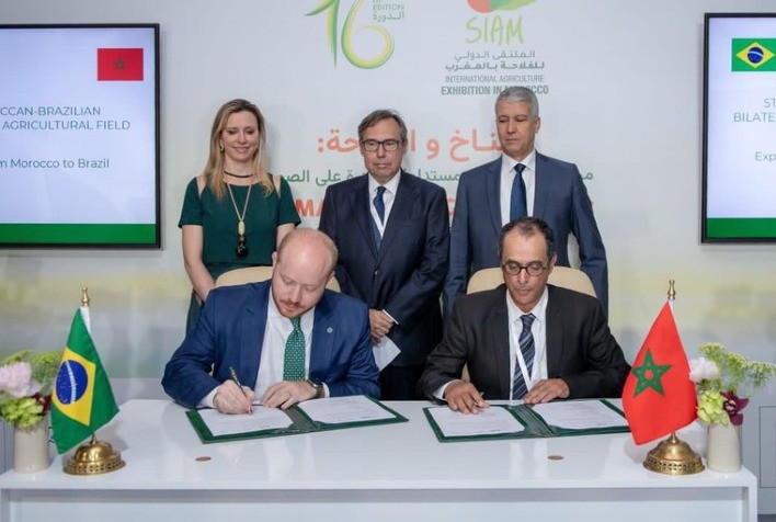 Marrocos concede isenção total de impostos para carne brasileira