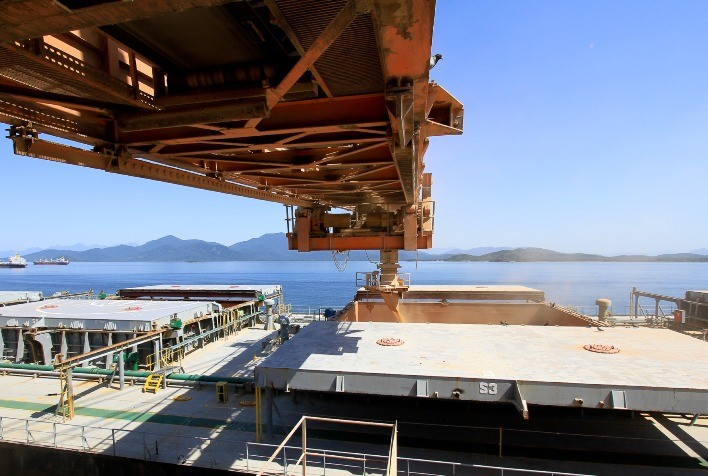 Aumento no preço do trigo russo impulsiona exportações recordes em outubro