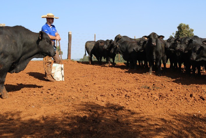 Campanhas Exclusivas Facilitam a Aquisição de Produtos com Condições Diferenciadas para Cooperados